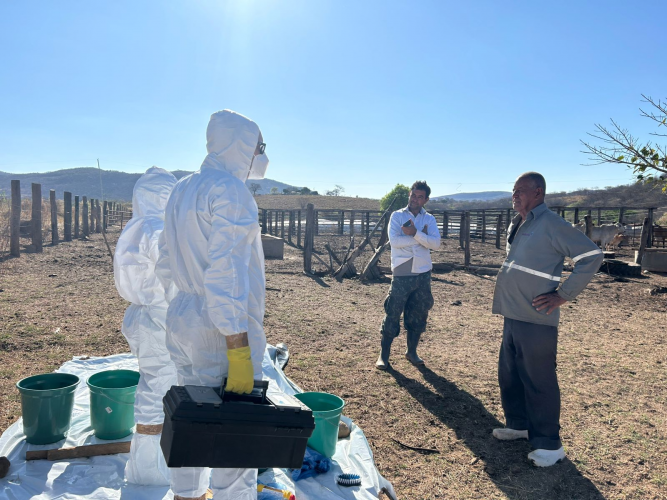 servidores em MG_capacitação FA