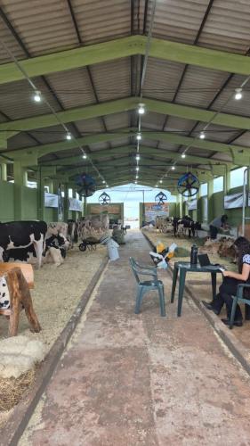 Expovale 2025 reforça o protagonismo do agronegócio no Vale do Ivaí e deve atrair milhares de visitantes