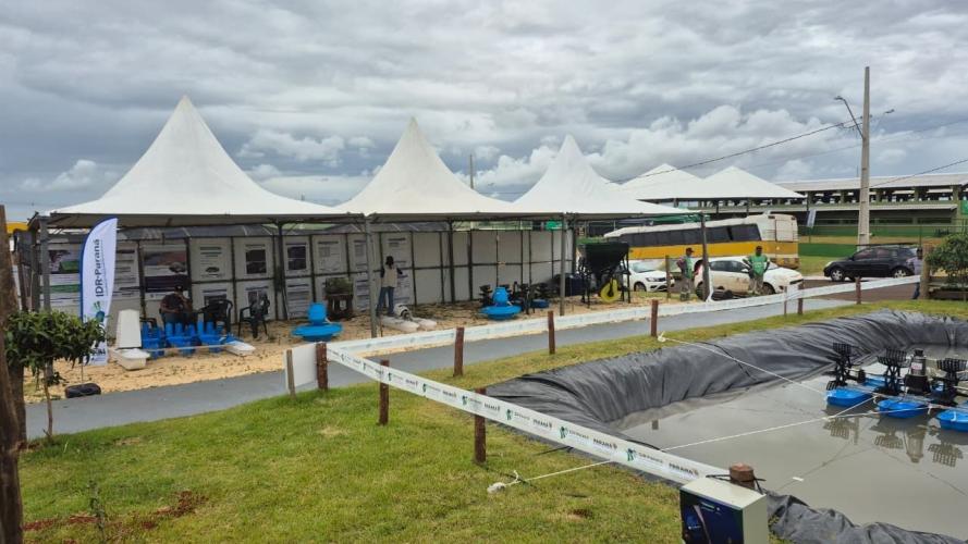 Expovale 2025 reforça o protagonismo do agronegócio no Vale do Ivaí e deve atrair milhares de visitantes