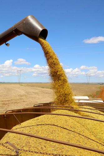Safra de soja do Paraná se aproxima do recorde e reforça otimismo no campo, aponta Deral