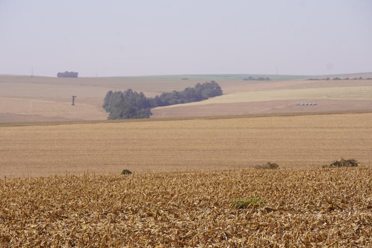 Períodos do vazio sanitário da Soja para a safra de 2026/2027 começam em junho