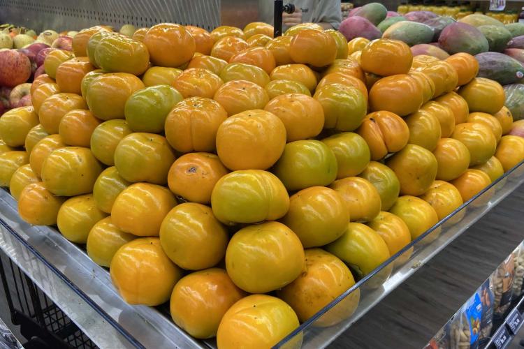 Temporada de caqui: Paraná produz 6 mil toneladas da fruta e exportações aumentam