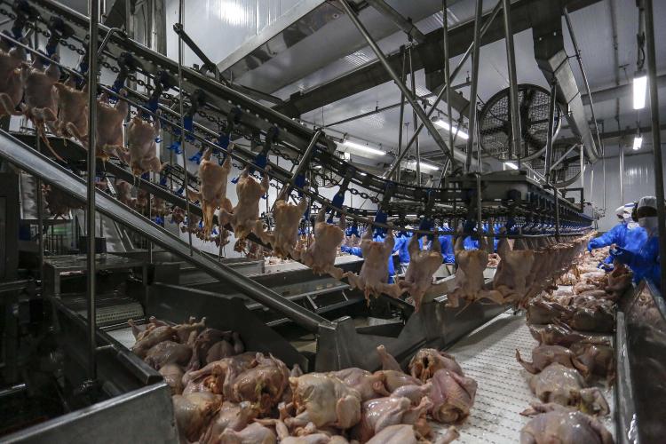 Adapar reúne empresas credenciadas para alinhar ações da nova portaria de inspeção ante e post mortem