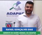 Campanha de Atualização de Rebanho 2021 - Gerente Saúde Animal 