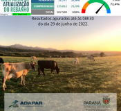 Parcial