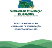 campanha