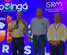 Simpósio na ExpoIngá reforça união de esforços no combate ao greening na citricultura paranaense