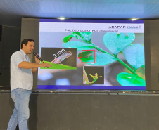 Simpósio na ExpoIngá reforça união de esforços no combate ao greening na citricultura paranaense