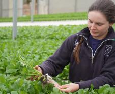 Feira Sabores do Paraná 2025 terá como novidade uma seção de hortifruticultura