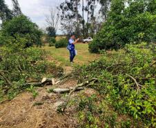 Ações da Adapar no Noroeste reforçam combate ao greening e à deriva de agrotóxicos