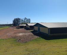 Adapar promove força-tarefa para garantir biosseguridade em estabelecimentos avícolas