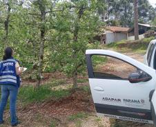 Adapar anuncia concurso com 57 vagas; salários chegam a R$ 8,4 mil