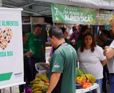 Morcegos e vacinação: ações da Adapar protegem rebanhos e saúde pública contra a raiva