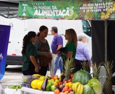 Morcegos e vacinação: ações da Adapar protegem rebanhos e saúde pública contra a raiva
