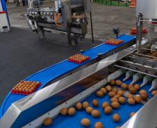 Governador destaca expansão contínua da produção de proteína animal na AveSui 2025