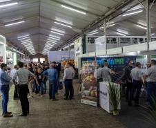 Governador destaca expansão contínua da produção de proteína animal na AveSui 2025