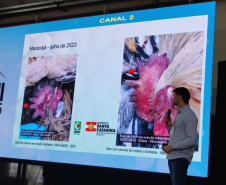 Adapar anuncia adesão de dois novos municípios ao Susaf durante a AveSui 2025