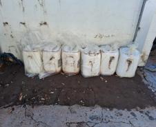 Adapar e Mapa realizam ação de coleta de agrotóxicos ilegais em Cidade Gaúcha