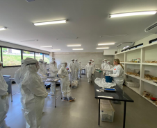 Treinamento sobre suspeitas e emergências avícolas é promovido pelo Governo do Paraná