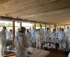 Treinamento sobre suspeitas e emergências avícolas é promovido pelo Governo do Paraná