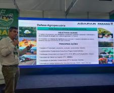 Adapar visita plantações e reforça orientações sobre vassoura-de-bruxa da mandioca