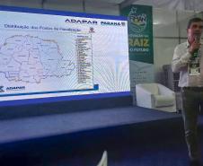 Adapar visita plantações e reforça orientações sobre vassoura-de-bruxa da mandioca