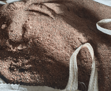 Adapar, Polícia Civil e Receita Estadual apreendem 142 toneladas de agrotóxicos irregulares