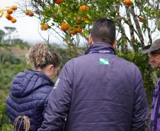 Inscrições para  capacitação de engenheiros agrônomos da Adapar para a emissão de certificados fitossanitários vão até 20 de fevereiro