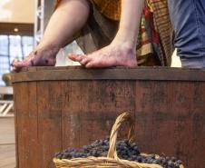 Governador em exercício Darci Piana participa do lançamento da Rota da Uva e Vinho.