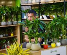 Inscrições para a edição de 2026 da tradicional Feira Sabores do Paraná estão abertas