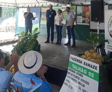 Selo Adapar de Boas Práticas Agrícolas é entregue para nove produtores em Guaratuba