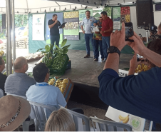 Selo Adapar de Boas Práticas Agrícolas é entregue para nove produtores em Guaratuba