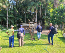 Com 414 fiscalizações, Adapar finaliza operação contra influenza aviária no Litoral
