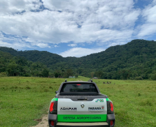 Com 414 fiscalizações, Adapar finaliza operação contra influenza aviária no Litoral