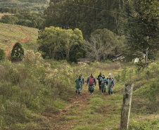 Ciclo de treinamento sobre zoonoses capacita novo grupo de servidores da Adapar