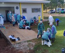 Ciclo de treinamento sobre zoonoses capacita novo grupo de servidores da Adapar