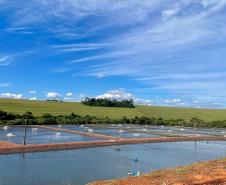 Adapar inicia projeto de biosseguridade na produção de tilápia com instituto norueguês