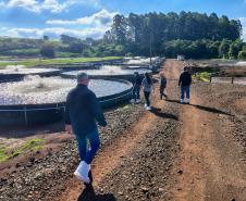 Adapar inicia projeto de biosseguridade na produção de tilápia com instituto norueguês