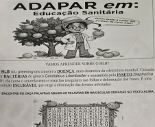 Adapar leva ações de educação sanitária na festa da ponkan de Cerro Azul