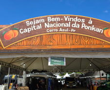 Adapar leva ações de educação sanitária na festa da ponkan de Cerro Azul