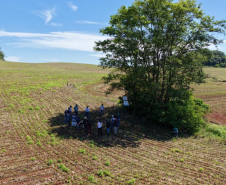 Adapar organiza treinamento de 31 novos servidores da área vegetal na região Norte do Estado