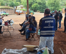 Adapar organiza treinamento de 31 novos servidores da área vegetal na região Norte do Estado