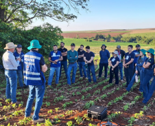 Adapar organiza treinamento de 31 novos servidores da área vegetal na região Norte do Estado