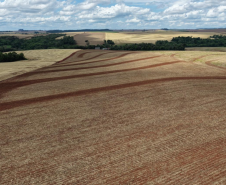 Adapar organiza treinamento de 31 novos servidores da área vegetal na região Norte do Estado
