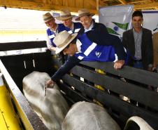Governador Beto Richa lança junto com o secretário da Agricultura e do Abastecimento, Norberto Ortigara e o diretor presidente da Adapar, Inácio Kroetz, Campanha Estadual de Vacinação contra Febre Aftosa de 2014. Campo Magro, 30-04-14