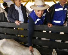 Governador Beto Richa lança junto com o secretário da Agricultura e do Abastecimento, Norberto Ortigara e o diretor presidente da Adapar, Inácio Kroetz, Campanha Estadual de Vacinação contra Febre Aftosa de 2014. Campo Magro, 30-04-14
