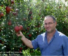 Pomar de maçã Fuji em Palmas-PR e o coordenador do Programa de Sanidade da Fruticultura da ADAPAR, Paulo Pazin Marques.