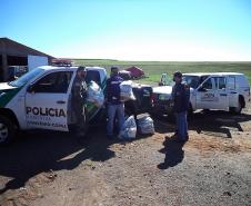Agrotóxicos apreendidos em operação conjunta