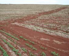Erosão em áreas sem manejo de Solos e Água