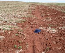 Sulco de Erosão em Plantio sem Manejo de Solos e Água